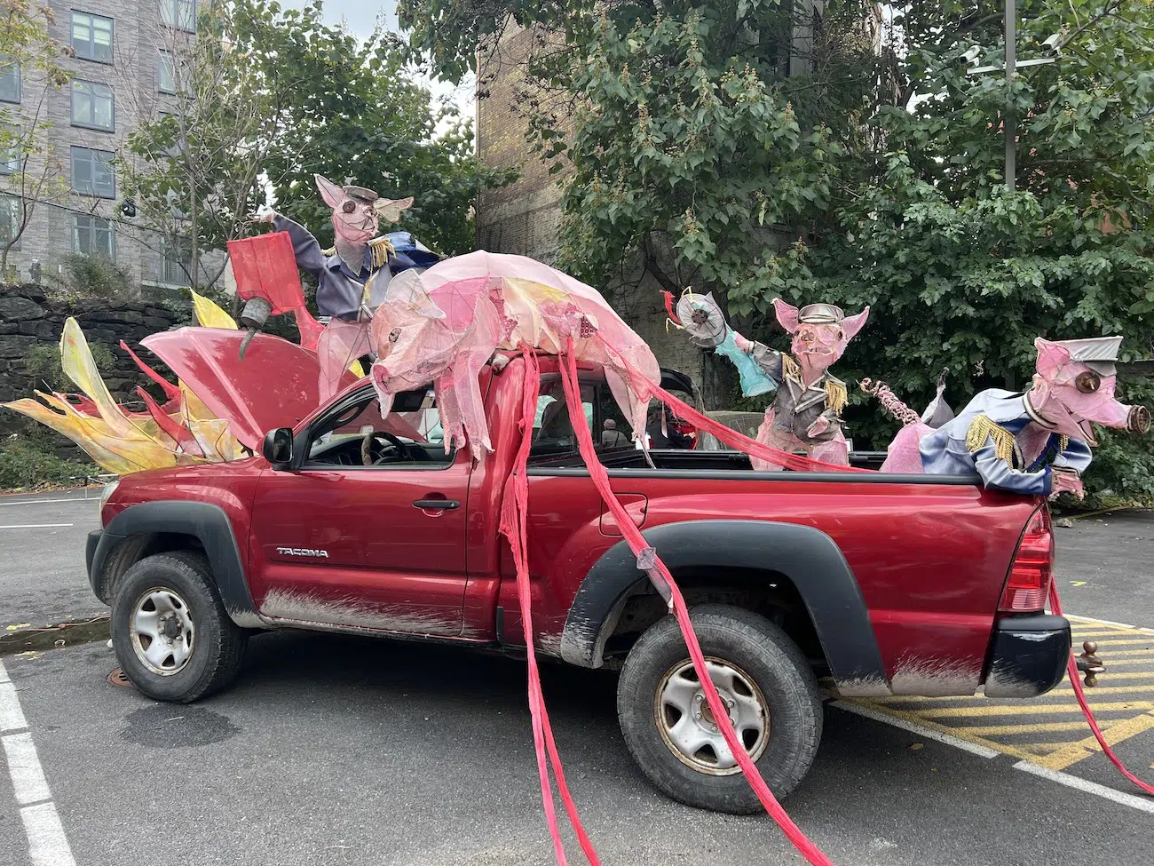 Z Behl and Kim Moloney, 