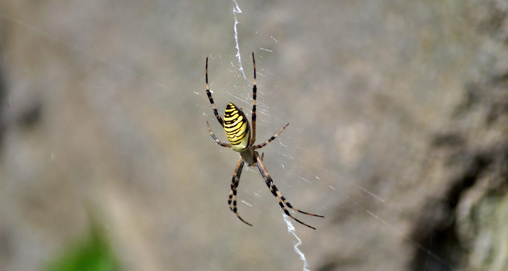 US team finds &#8216;super-polynomial&#8217; problems that even quantum computers can&#8217;t crack