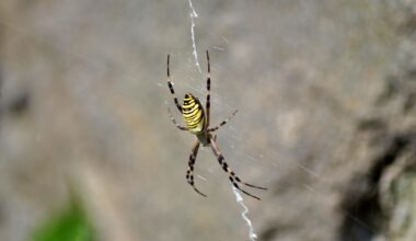 US team finds &#8216;super-polynomial&#8217; problems that even quantum computers can&#8217;t crack