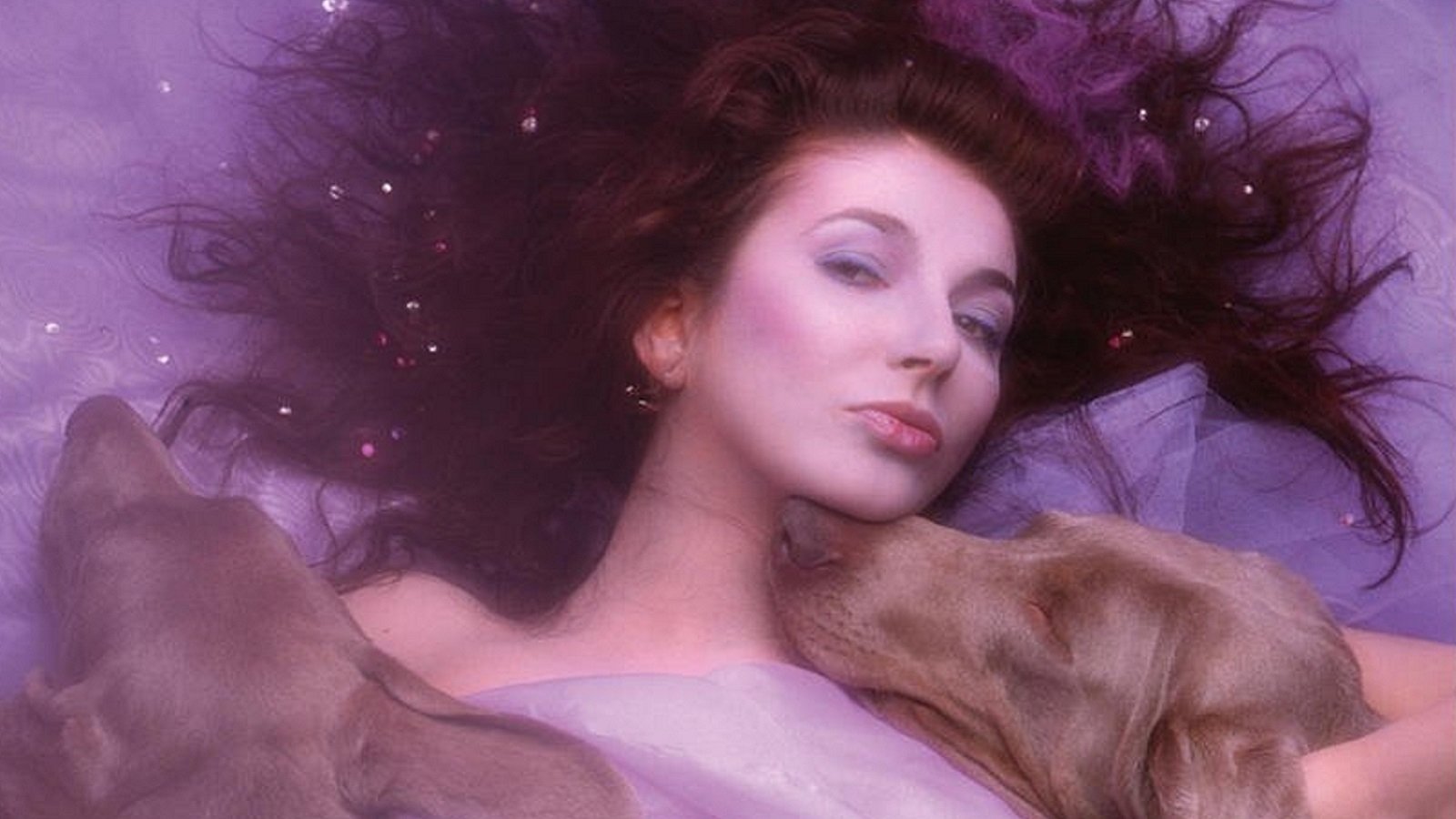 Kate Bush 'heartbroken' as friend remains missing