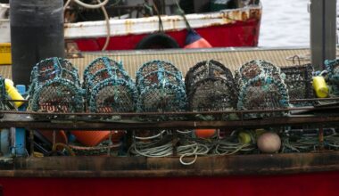 EU fishing quota agreement 'catastrophic' for Ireland