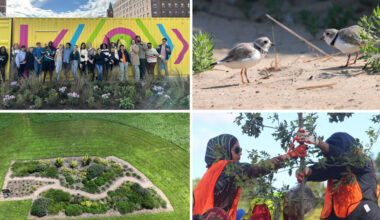 Readers Share Eco-Friendly Projects Happening In Their Communities