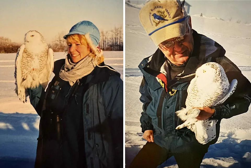 Researchers Lisa Takats Priestley, left, and Hardy Pletz pictured banding snowy owls in Fort Saskatchewan, Alta. Owl banding involves capturing the birds and putting bands on them to track populations and movement patterns for scientific purposes. One snowy owl banded by Pletz was first captured in 1994 and then recaptured in 2013, making it one of the oldest known wild snowy owls.