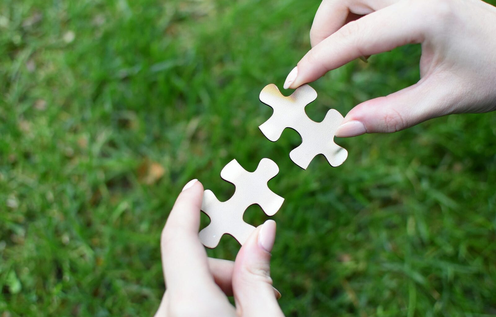 Photo by Vardan Papikyan on Unsplash