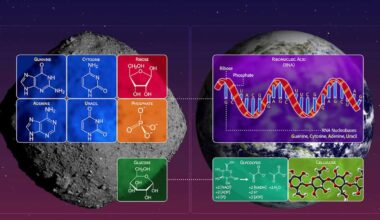 Components of RNA among life’s building blocks found in NASA asteroid sample – Physics World