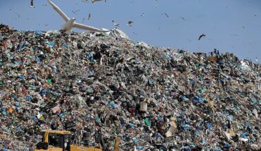 Only nine countries doing well on municipal waste recycling, EU auditors say