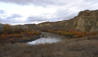 “Nature needs action, not just discussion,” says founder of IDEA international campaign