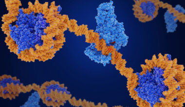 Unexpected allies: DNA packaging aids gene expression