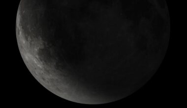 How the New Moon Will Impact These Three Signs in December 2025