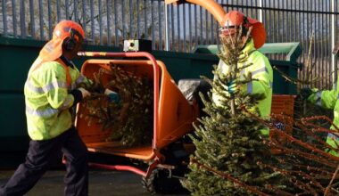Eight Wicklow locations accepting Christmas trees for free recycling