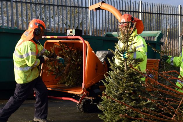 Eight Wicklow locations accepting Christmas trees for free recycling