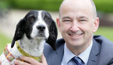 CEO of Birdwatch Ireland says buzzards aren’t to blame for decline in wild bird species – ‘It’s entirely the fault of humans’