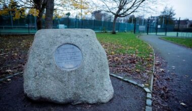 ‘It’s clear they’ve caved to pressure’ – Dublin councillor slams DCC decision to withdraw Herzog Park report