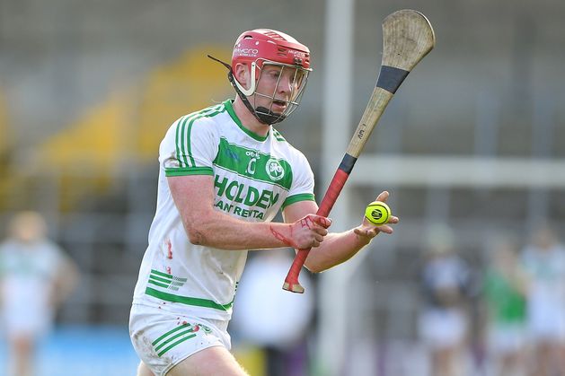 Supporter banned for 96 weeks after Leinster GAA’s Kilcormac-Ballyhale post-match probe