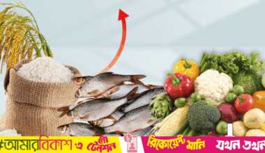 Rice and fish drive food inflation in October, while vegetables help ease price pressures: Report