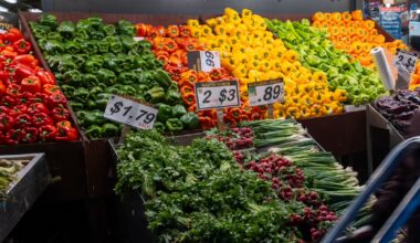 Growth to Slow as Tariffs Bite, But AI Investments May Cushion the Blow