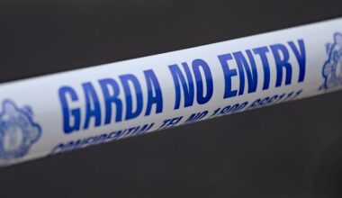 Man (20s) dies during firearms incident in Carlow