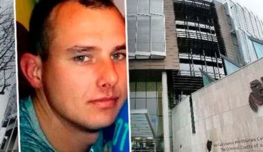 Serial sex offender who tried to strangle woman in Dublin park argues DNA evidence should not have been introduced at trial