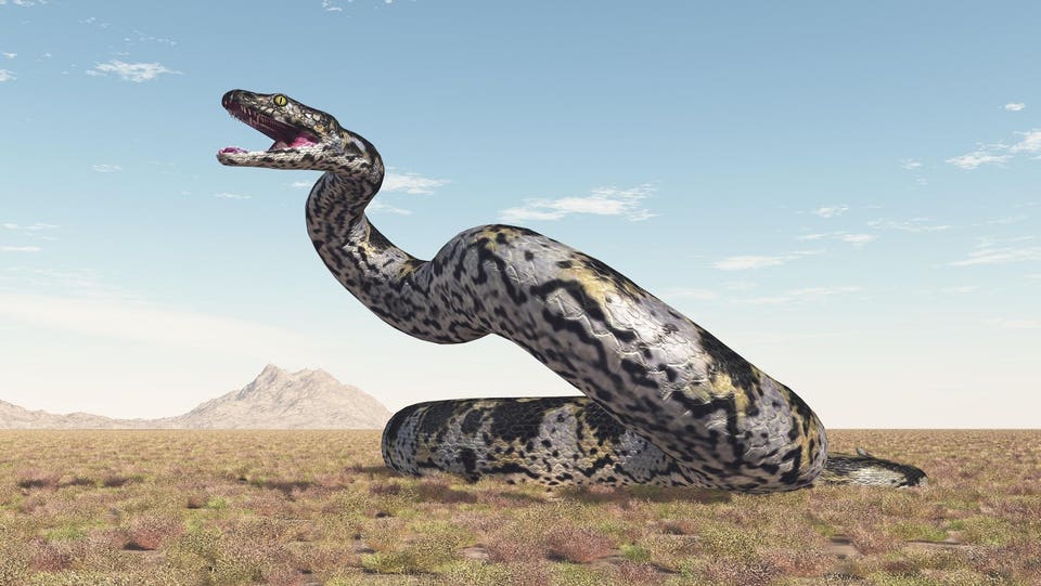 Prehistoric giant snake Titanoboa