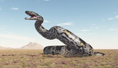 Meet The 42-Foot Snake That Ruled Earth After The Dinosaurs — A Biologist Explains