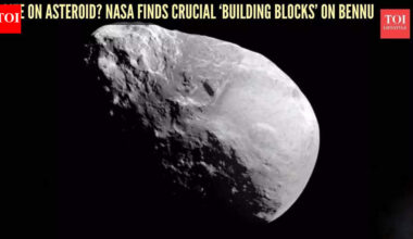Signs of life on asteroid? NASA detects crucial 'building blocks' on Bennu |