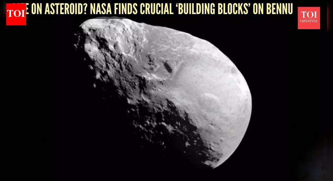 Signs of life on asteroid? NASA detects crucial 'building blocks' on Bennu |