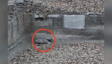 Hikers Refuse To Ignore ‘Something Unusual’ At Bottom Of Empty Reservoir