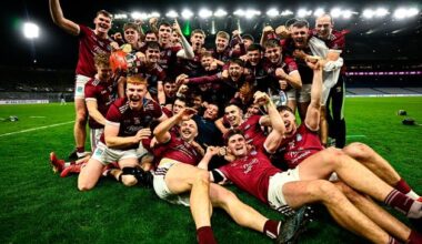 Ben Stafford secures Leinster club SHC title for St Martin’s as they deny Ballyhale with last-minute winner