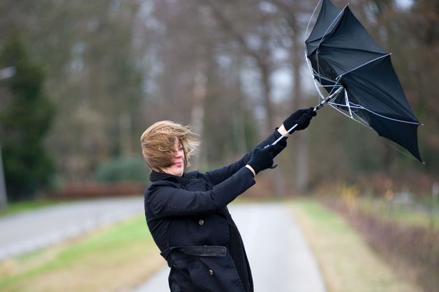 Met Éireann issues Status Yellow wind warning for whole country, with seven counties also under a rain warning tomorrow night