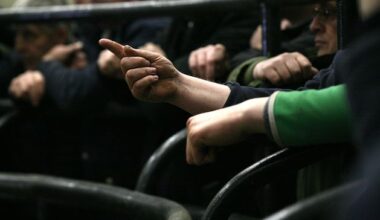 How soaring cattle prices brought down a €16m Munster cattle-buying firm