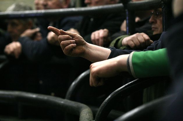 How soaring cattle prices brought down a €16m Munster cattle-buying firm