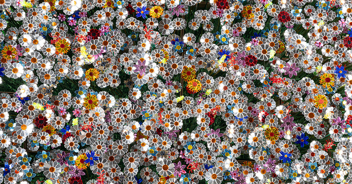 8,800 mirrored flowers reveal a portrait of the netherlands