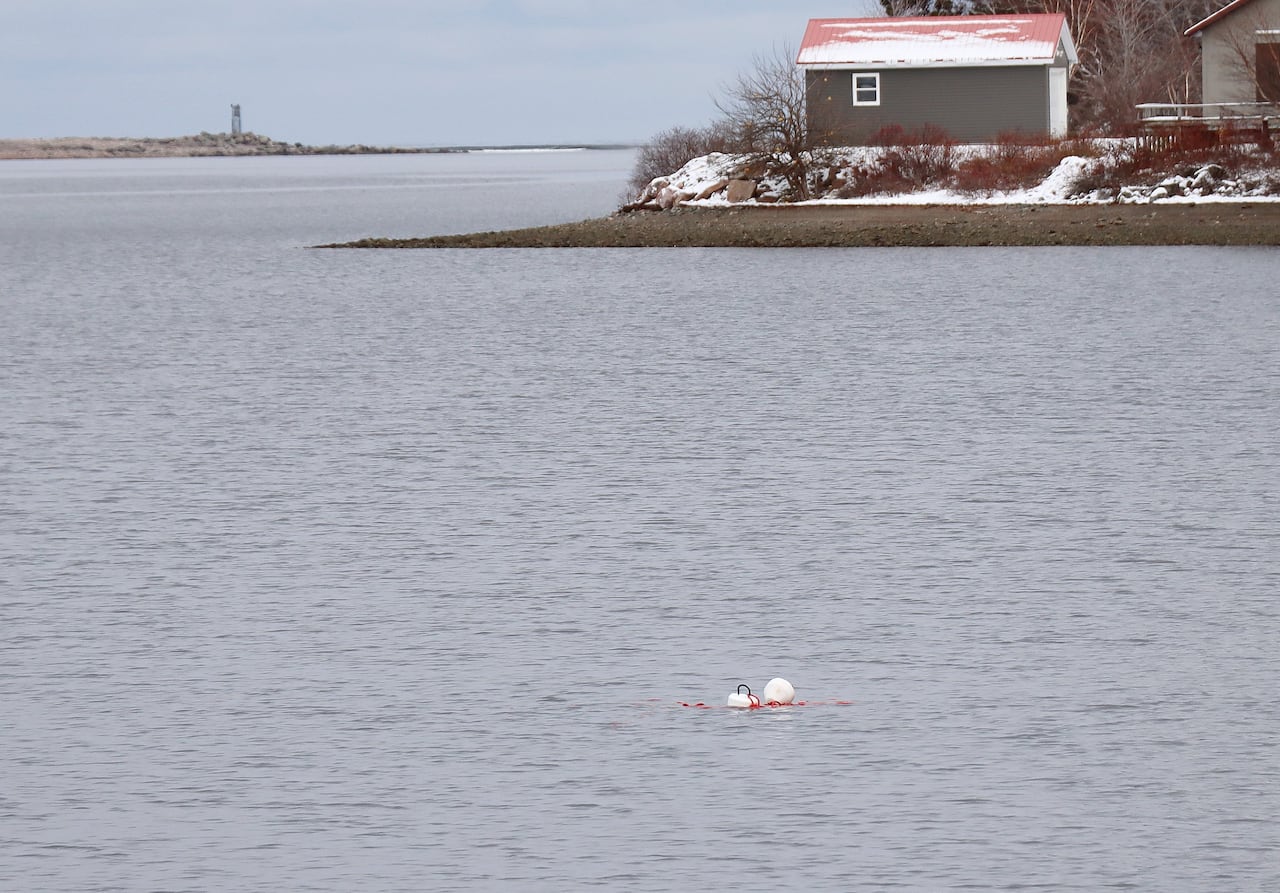 sewer outfall buoys