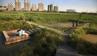 Farewell to Masters: Remembering the Architects We Lost in 2025