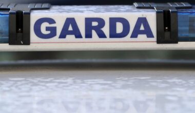Infant boy dies after Louth crash