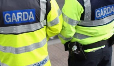 Man (40s) dies in workplace accident in south Dublin as Health and Safety Authority launches investigation