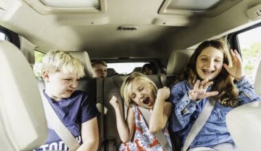 Auto advice: What are some tips for making long car trips more jolly?