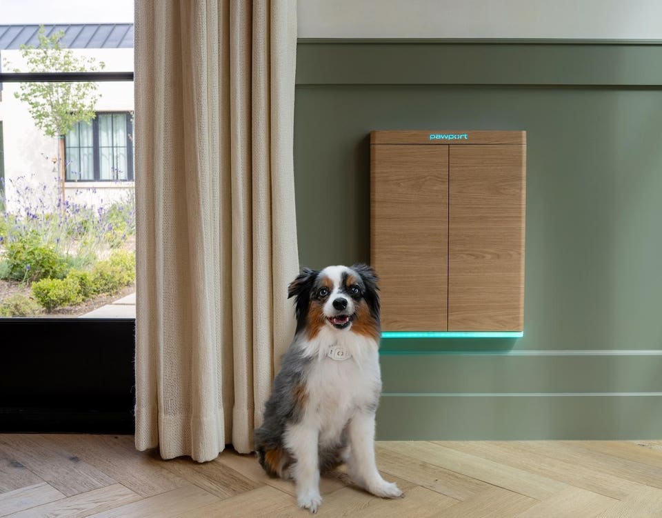 Pawport Soho Door with Small Dog