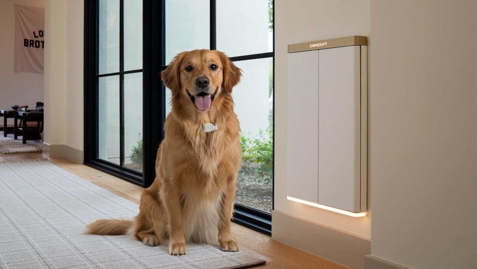 Pawport’s Smart Pet Door Keeps Furry Intruders At Bay While Protecting Your Pet’s Access