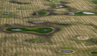Alberta lays out new wetlands rules after months of ‘divisive’ consultation