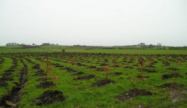 ‘What would the neighbours think?’ How social approval is the biggest hurdle to planting trees