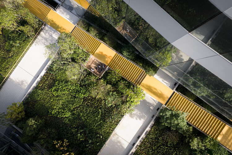 Building Optimism: Lessons from Climate Adaptation in 2025 - Image 6 of 25