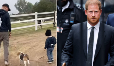 Prince Harry furiously denies claim he called Prince Archie his 'little African child'