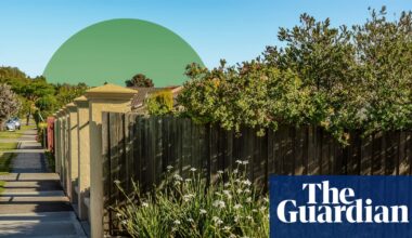 Don’t stop be-leafin’: how urban greening can help save threatened species | Wildlife