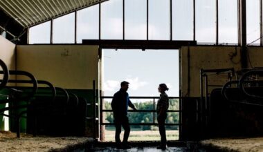 The steep price of deceit: What two divorce cases tell us about how the courts are dealing with marital breakdown on farms