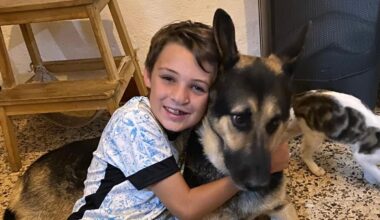 British 13-year-old boy stabbed to death in Portugal named | World News