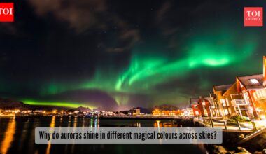 Why do auroras shine in different magical colours across skies?