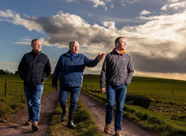 Part of site in Cork set to host Ireland’s largest solar farm subject of waste-management probe