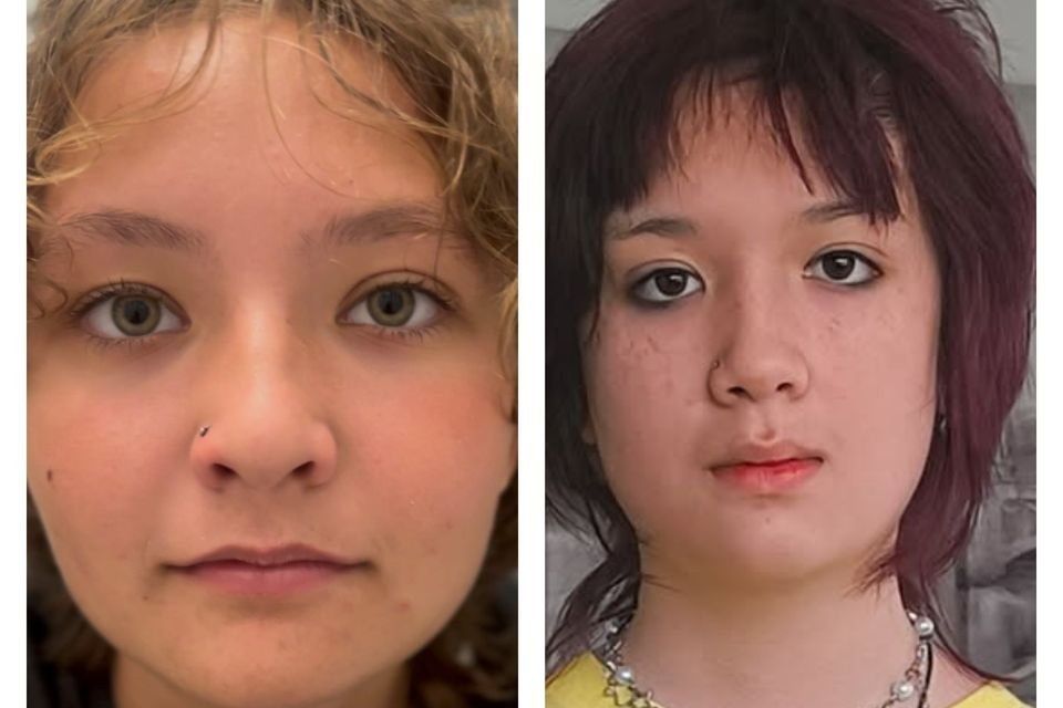 Julia and Sadie were last seen at a retail premises in Bettystown, Co Meath, at approximately 1pm on Monday, December 22.