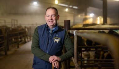 ‘I could be selling dry cows on a Saturday morning after selling a farm for €3m on a Friday afternoon’
